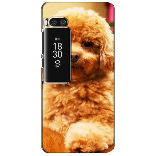 Чехол с принтом «Щенок Бишон» для Meizu Pro 7 Plus