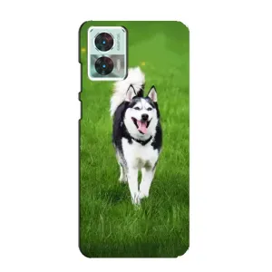 Чехол с Хаски для Motorola Edge 30 Neo - (AlphaPrint) (Радостный Хаски)