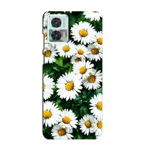 Чехол с принтом «Ромашки» для Motorola Edge 30 Neo