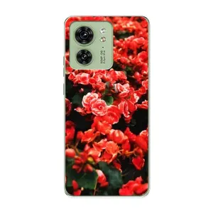 Чехлы с Цветами для Motorola Edge 40 (VPrint) (Цветы красные)