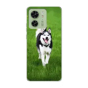 Чехол с Хаски для Motorola Edge 40 - (AlphaPrint) (Радостный Хаски)