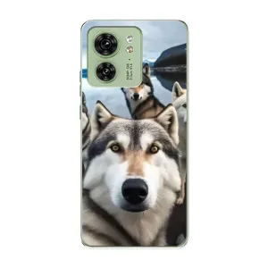 Чехол с Хаски для Motorola Edge 40 - (AlphaPrint) (Селфи ХАски)
