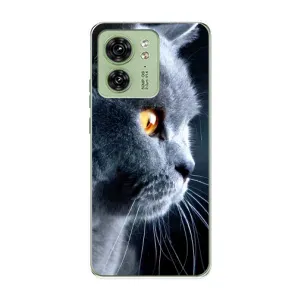 Чехлы с Котиками для Motorola Edge 40 (VPrint) (Серый Кот)