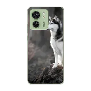 Чехол с Хаски для Motorola Edge 40 - (AlphaPrint)