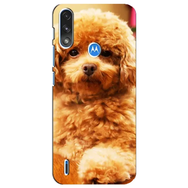 Чехол с принтом «Щенок Бишон» для Motorola E7 Power