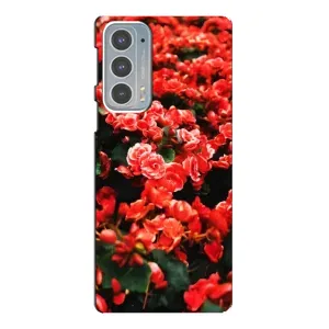 Чохли з квітами для Motorola Edge 20 (VPrint) (Квіти червоні)