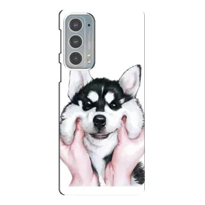 Чехол с Хаски для Motorola Edge 20 - (AlphaPrint)