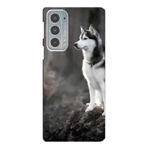 Чохол з Хаскі Motorola Edge 20 - (AlphaPrint) (Вірний собака)