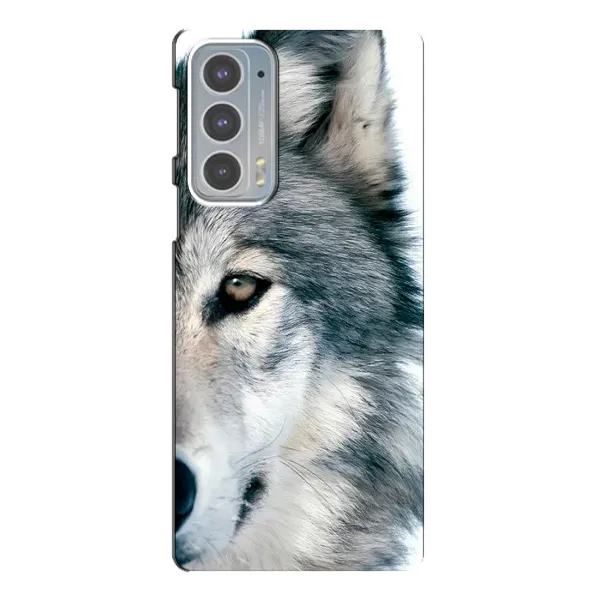 Чехол с принтом «Волк» для Motorola Edge 20