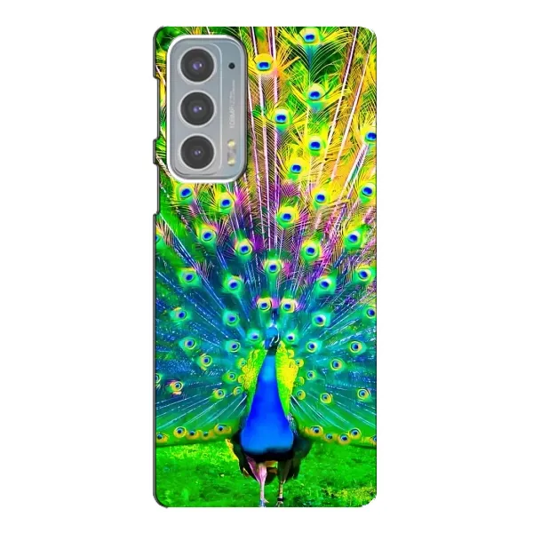 Чехол с принтом «Яркий Павлин» для Motorola Edge 20 Чехол с принтом «Яркий Павлин» для Motorola Edge 20