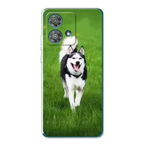 Чохол з Хаскі Motorola Edge 40 Neo - (AlphaPrint) (Радісний Хаскі)