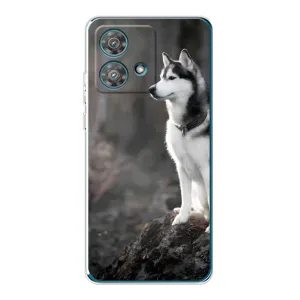 Чохол з Хаскі Motorola Edge 40 Neo - (AlphaPrint) (Вірний собака)