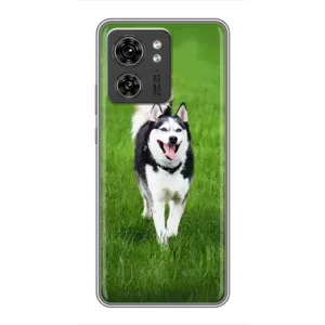 Чехол с Хаски для Motorola Edge 40 Pro - (AlphaPrint) (Радостный Хаски)