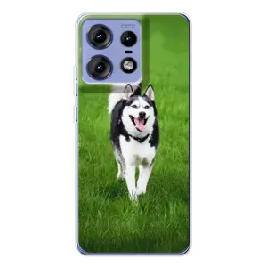 Чохол з Хаскі Motorola Edge 50 Pro - (AlphaPrint) (Радісний Хаскі)