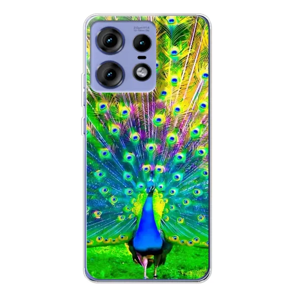 Чохол з принтом «Яскравий Павлин» для Motorola Edge 50 Pro