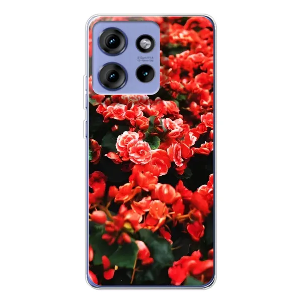 Чехол с принтом «Цветы красные» для Motorola Edge 50 Чехол с принтом «Цветы красные» для Motorola Edge 50