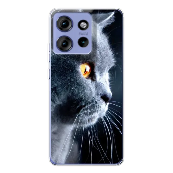 Чехол с принтом «Серый Кот» для Motorola Edge 50