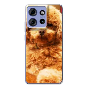 Чохли з собаками для Motorola Edge 50 (VPrint) (Цуценя Бішон)