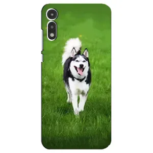 Чехол с Хаски для Motorola Moto E 2020 - (AlphaPrint) (Радостный Хаски)