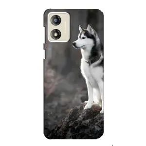 Чехол с Хаски для Motorola MOTO E13 - (AlphaPrint) (Верный пес)