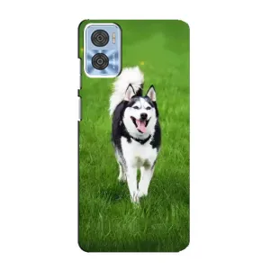 Чехол с Хаски для Motorola MOTO E22 - (AlphaPrint) (Радостный Хаски)