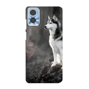 Чехол с Хаски для Motorola MOTO E22 - (AlphaPrint) (Верный пес)