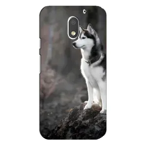 Чехол с Хаски для Motorola Moto E3 - (AlphaPrint) (Верный пес)