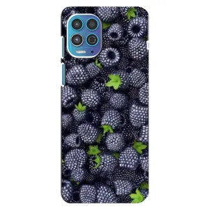 Чехлы с Фруктами для Motorola MOTO G100 (VPrint) (Ежевика)