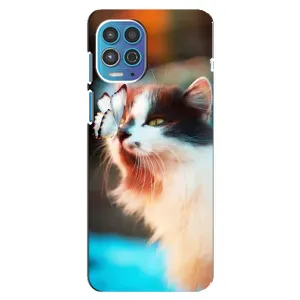 Чохол на Моторола Мото джі 100 з Котиками (VPrint) (Котик з метеликом)