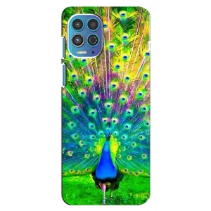 Чохол з пташками на Motorola MOTO G100 (VPrint) (Яскравий Павлин)