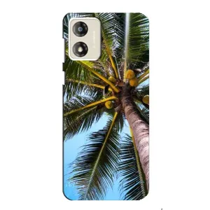 Чехол с принтом «Пальма» для Motorola MOTO G13