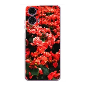 Чехлы с Цветами для Motorola MOTO G24 Power (VPrint) (Цветы красные)