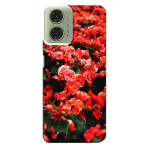 Чохли з квітами для Motorola MOTO G24 (VPrint) (Квіти червоні)