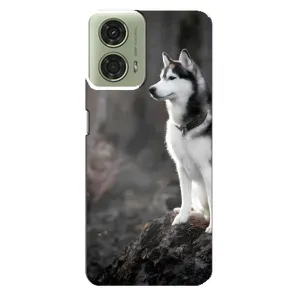 Чохол з Хаскі Motorola MOTO G24 - (AlphaPrint) (Вірний собака)