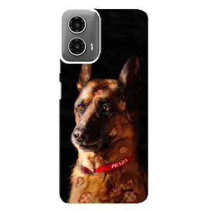 Чехлы с картинками животных Motorola MOTO G34 (Овчарка)