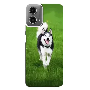 Чехол с принтом «Радостный Хаски» для Motorola MOTO G34