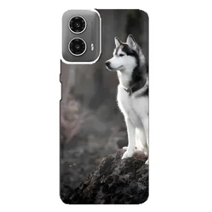 Чехол с принтом «Верный пес» для Motorola MOTO G34