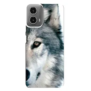 Чехлы с картинками животных Motorola MOTO G34 (Волк)