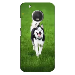 Чехол с Хаски для Motorola Moto G5 Plus - (AlphaPrint) (Радостный Хаски)