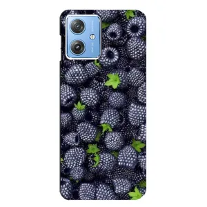 Чохли з фруктами для Motorola MOTO G54 / G54 Power (VPrint) (Ожина)