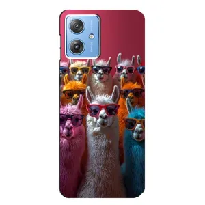 Чохол з принтом «Лами в окулярах» для Motorola MOTO G54 / G54 Power