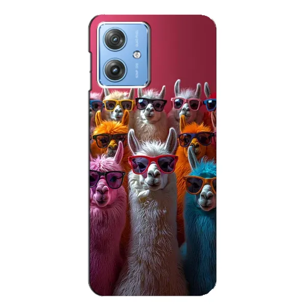Чохол з принтом «Лами в окулярах» для Motorola MOTO G54 / G54 Power Чохол з принтом «Лами в окулярах» для Motorola MOTO G54 / G54 Power