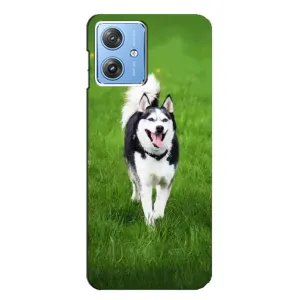 Чехол с принтом «Радостный Хаски» для Motorola MOTO G54 / G54 Power