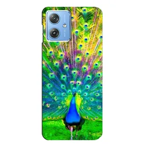 Чохол з пташками на Motorola MOTO G54 / G54 Power (VPrint) (Яскравий Павлин)