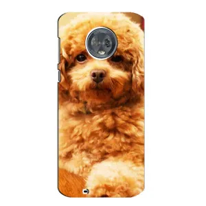 Чохли з собаками для Motorola MOTO G6 (VPrint) (Цуценя Бішон)