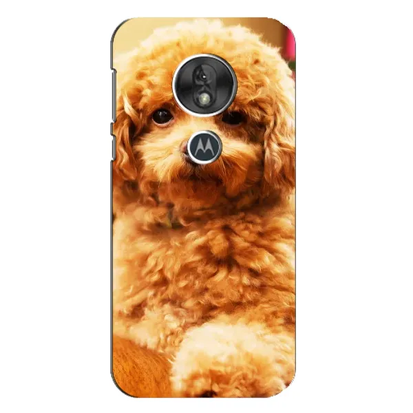 Чехол с принтом «Щенок Бишон» для Motorola MOTO G7 Play