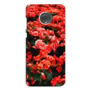 Чохли з квітами для Motorola MOTO G7 (VPrint) (Квіти червоні)