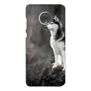 Чохол з Хаскі Motorola Moto G7 - (AlphaPrint) (Вірний собака)