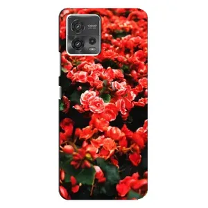 Чохли з квітами для Motorola MOTO G72 (VPrint) (Квіти червоні)
