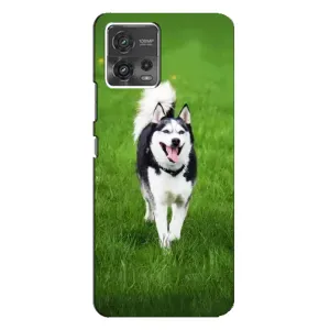 Чохол з Хаскі MOTO G72 - (AlphaPrint) (Радісний Хаскі)